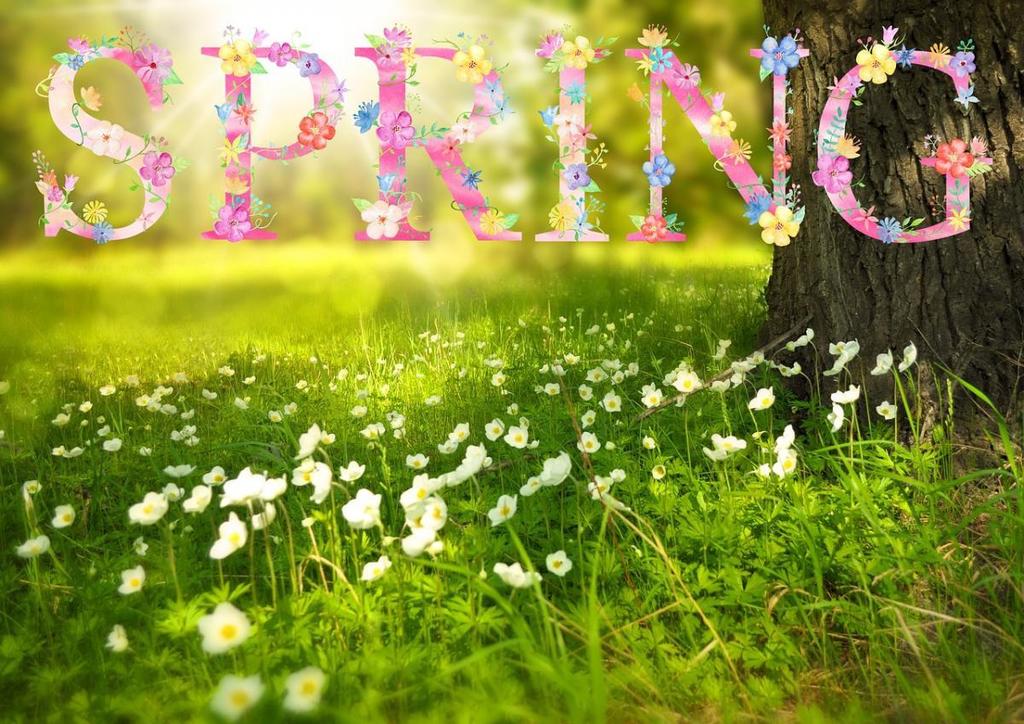 Green grass and flowers growing with the word spring on the picture