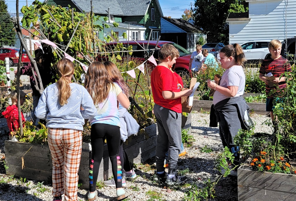 Students getting seeds from the school garden
