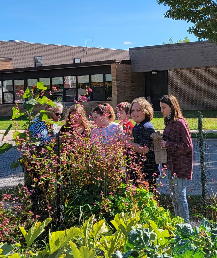 Students looking at flowers and their seeds in the school garden
