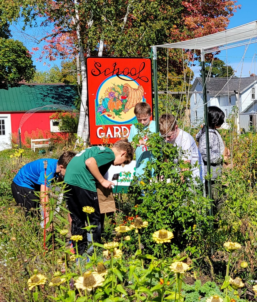 Students looking for seeds in the school garden. Sign that says school garden