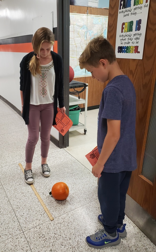 Pumpkin investigations - two students using a yard stick with a pumpkin