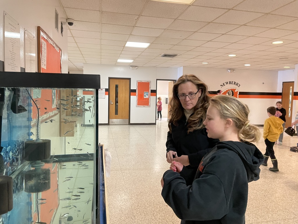 A third grade female student is showing Mrs. Price the Salmon tank.