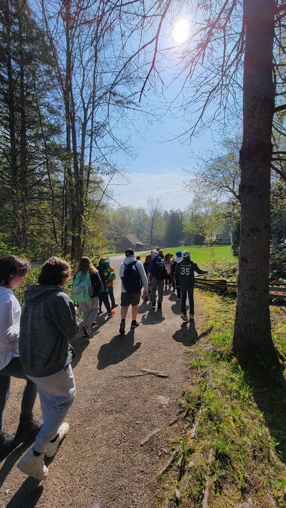 students walking outside with the sun in the sky